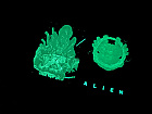 FAC #120 ALIEN Glow In The Dark FULLSLIP XL EDITION #3 4K Ultra HD Steelbook™ Limited Collector's Edition - numbered + Gift Steelbook's™ foil