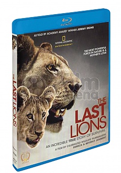 NATIONAL GEOGRAPHIC: The Last Lions