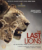 NATIONAL GEOGRAPHIC: The Last Lions