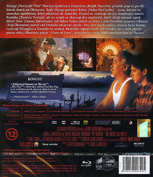 the karate kid 2 full movie in hindi free download hd